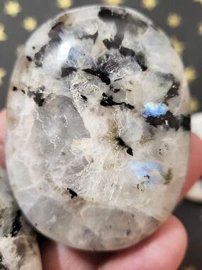 Polished Rainbow Moonstone Palm Stone - White and Black with Blue Flash